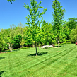 lawn-maintenance-in-Taunton-MA