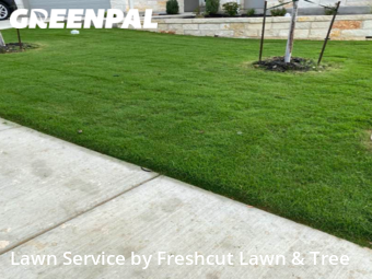 Grass Cut nearby New Braunfels, TX, 