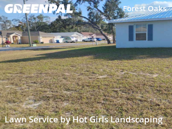 Lawn Cut nearby Spring Hill, FL, 