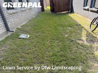 Lawn Cut nearby Prosper, TX, 
