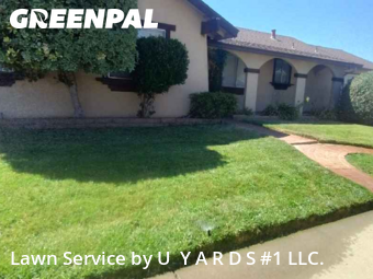 Work completed by residential-lawn-cutting-businesses-in-Modesto-CA