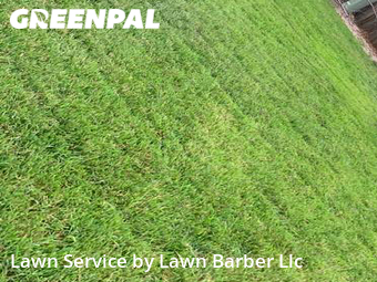 Grass Cut nearby Loveland, CO, 