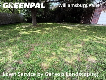 Yard Mowing nearby Katy, TX, 