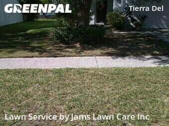 Grass Cutting nearby Land O' Lakes, FL, 