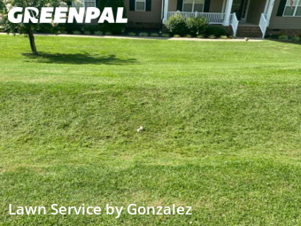 Lawn Cutting nearby Clayton, NC, 