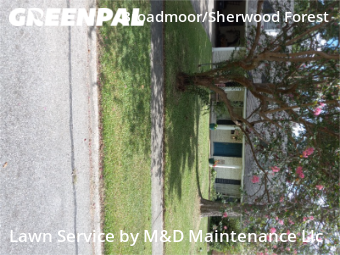 Grass Cut nearby Baton Rouge, LA, 