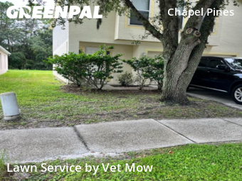 Lawn Care Service nearby Wesley Chapel, FL, 