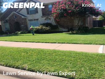 Lawn Cut nearby Plano, TX, 