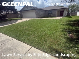 Lawn Cut nearby San Antonio, TX, 