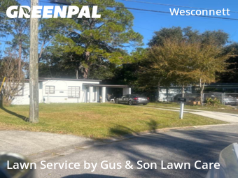 Grass Cut nearby Jacksonville, FL, 