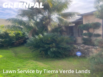 grass-trimming-service-in-Corona-CA