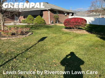 Grass Cut nearby Aliquippa, PA, 