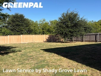 Lawn Maintenance nearby Round Rock, TX, 