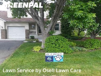 Yard Mowing nearby Minneapolis, MN, 