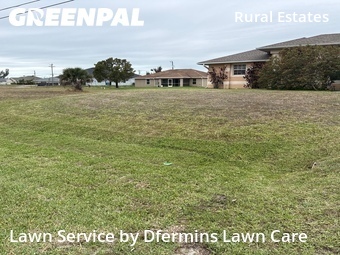 Lawn Cut nearby Cape Coral, FL, 