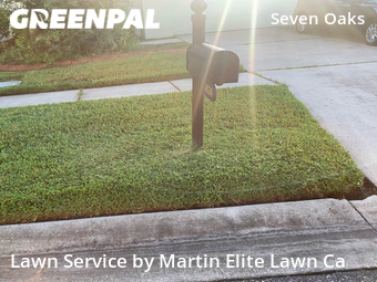 Yard Cutting nearby Wesley Chapel, FL, 