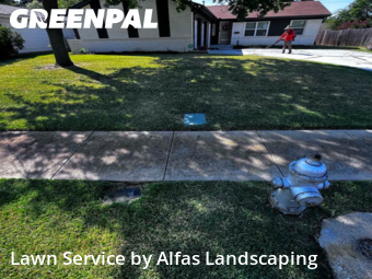 Lawn Servicein Irving,75062,Yard Cutting by Alfas Landscaping, work completed in Nov , 2025