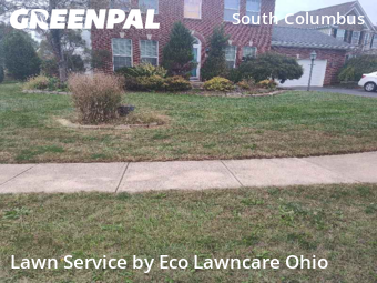 Yard Maintenance in Pickerington, 43147, Weed Trimming by Eco Lawncare Ohio, work completed in Nov , 2025
