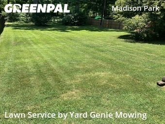 Lawn Mowing nearby Charlotte, NC, 