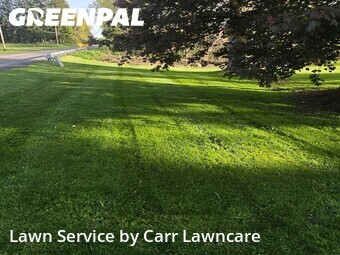 Lawn Mow nearby Fairport, NY, 