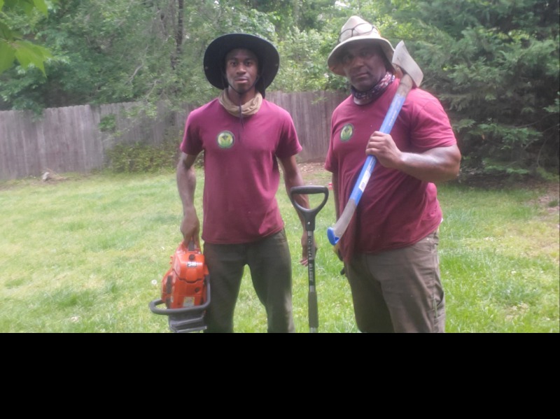 Lawn Care Service in Brooklyn Park, MD, 21075