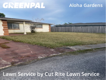 Lawn Care Service nearby Holiday, FL, 