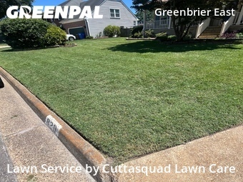 Local Lawn And Landscape Maintenance Services Near Me In Chesapeake,23320,Landscaping Cleanup by Cuttasquad Lawn Care, work completed in Jul , 2026