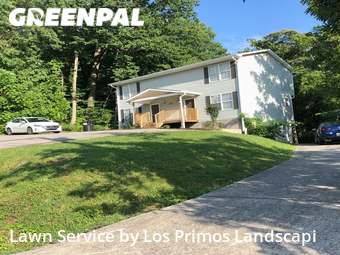 Lawn Mow nearby Rossville, TN, 