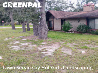 Yard Cutting nearby Spring Hill, FL, 