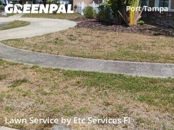 Grass Cutting nearby Tampa, FL, 