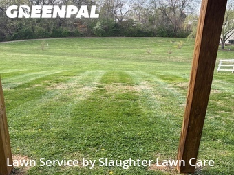 Grass Cutting nearby Powell, TN, 