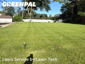 Lawn Care Service nearby Dayton, OH, 