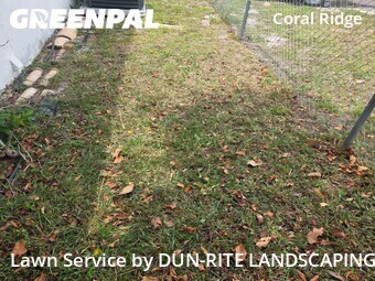 Grass Cut nearby Fort Lauderdale, FL, 
