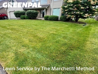 Lawn Cutting nearby Aurora, IL, 