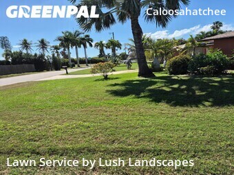 Lawn Mow nearby Cape Coral, FL, 