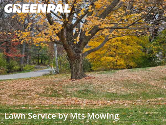 Lawn Service nearby Belvidere, IL, 