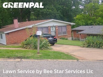 Grass Cuttingin Ferguson,63135,Lawn Mowing Service by Bee Star Services Llc, work completed in Jun , 2026