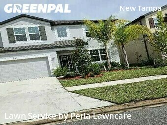 Lawn Maintenance nearby Tampa, FL, 