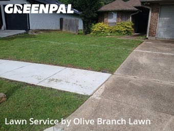 Grass Cut nearby Keller, TX, 