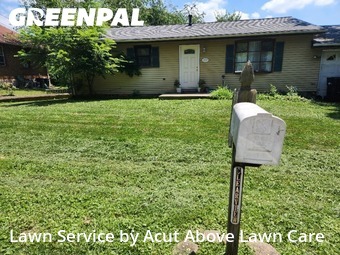 Yard Cutting nearby Bellevue, PA, 