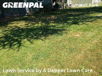 Lawn Mowing Service nearby Bellingham, WA, 