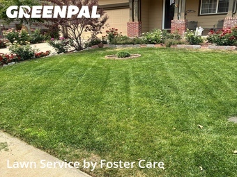 Lawn Care Service nearby Longmont, CO, 