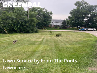 Yard Mowing nearby Wheaton, IL, 