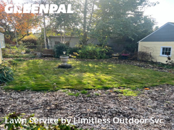 Landscaper In Tacoma,98404,Landscaping Cleanup by Limitless Outdoor Svc, work completed in Nov , 2025