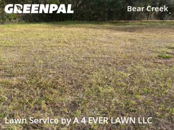 Yard Mowing nearby New Port Richey, FL, 
