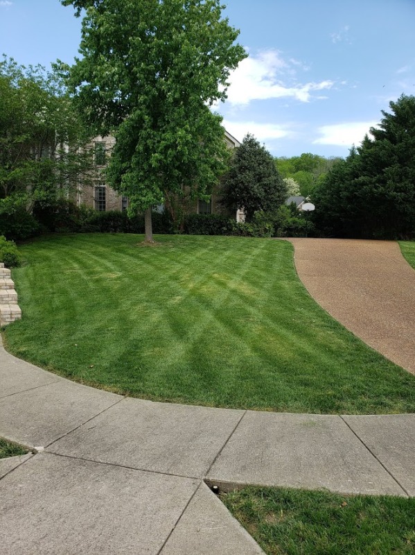 Beyond The Green Lawn Care Services in Nashville, TN