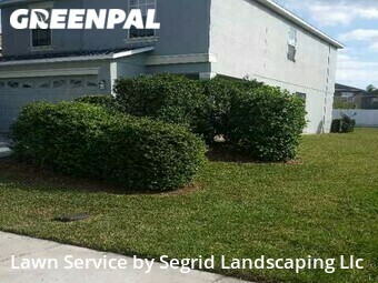 Grass Cut nearby Lakeland, FL, 