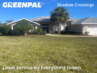 Lawn mowed in Ormond Beach, 32174