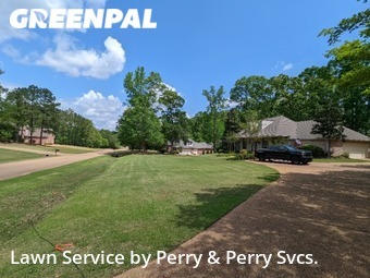 Grass Cut nearby Pearl, MS, 