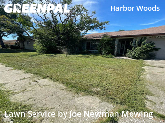 Lawn Maintenance nearby Safety Harbor, FL, 